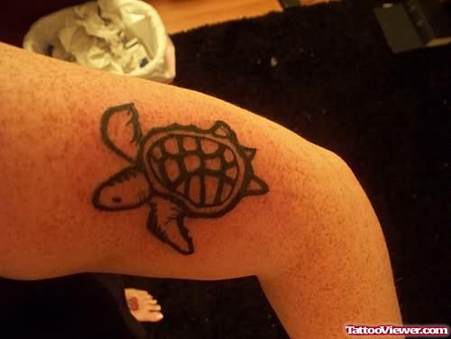 Turtle Beautiful Tattoo On Bicep