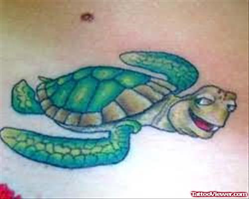 Disclaimer  Animal Turtle Tattoos