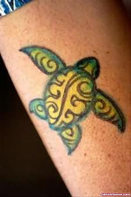 Stylish Turtle Tattoo