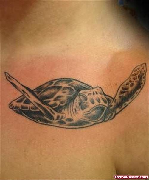 Turtle Tattoos On Front