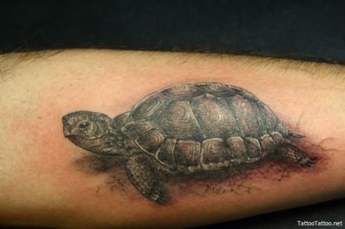 Black Ink Turtles Tattoo