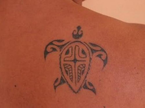 Stylish Turtle Tattoo On Back Shoulder