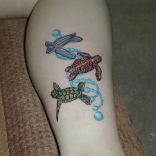 Latest Turtle Tattoos On Arm