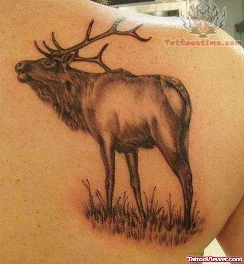 Back Shoulder Wildlife Tattoo
