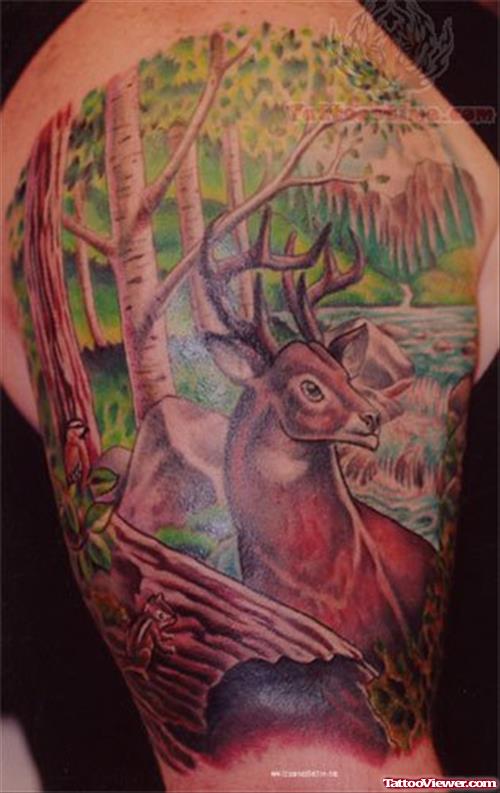Deer Wildlife Tattoo