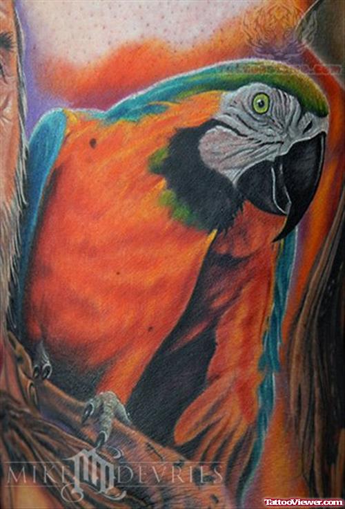 Parrot Colorful Wildlife Tattoo