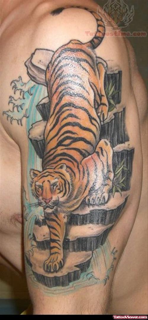 Wildlife Tiger Tattoo Designs