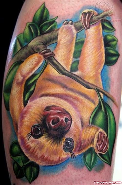 Baby Sloth Wildlife Tattoo