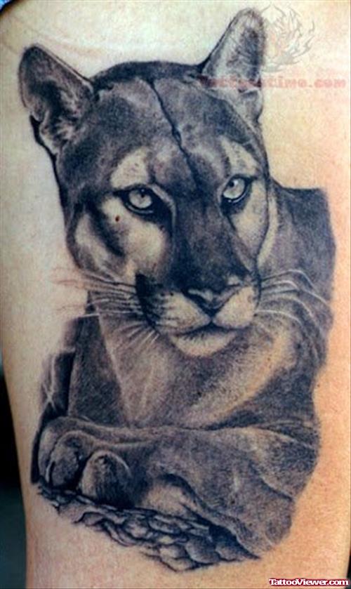 Cougar Wildlife Tattoo