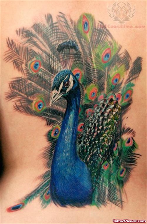 Peacock Wildlife Tattoo