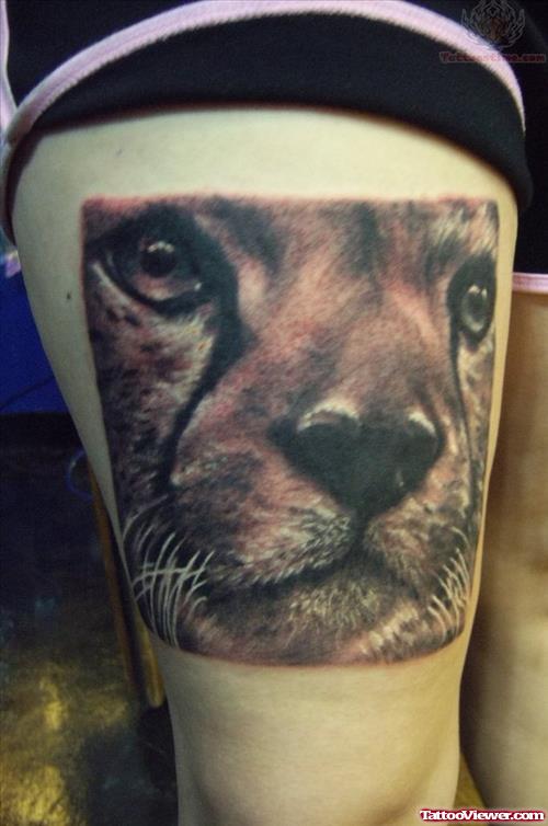 Wild Tiger Face Tattoo