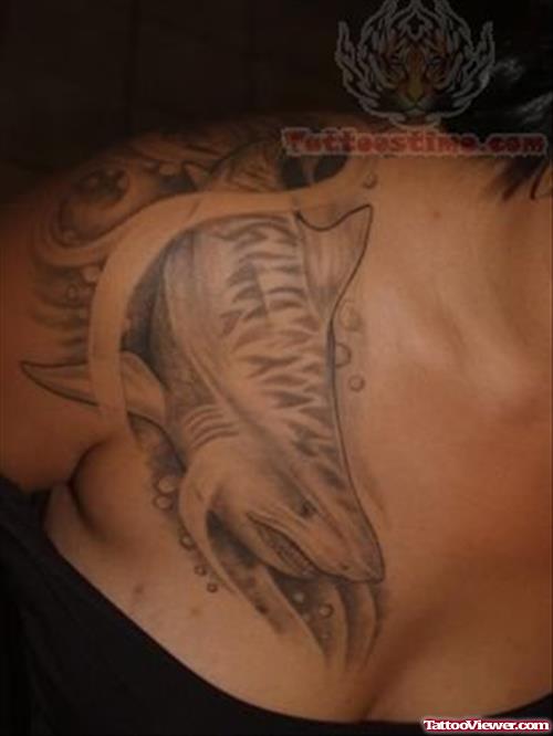 Wildlife Shark Tattoo