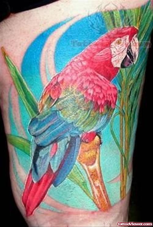 Wild Parrot Color Tattoo