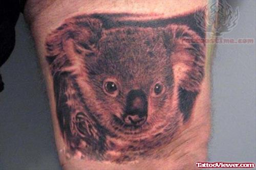 Wildlife New Tattoos