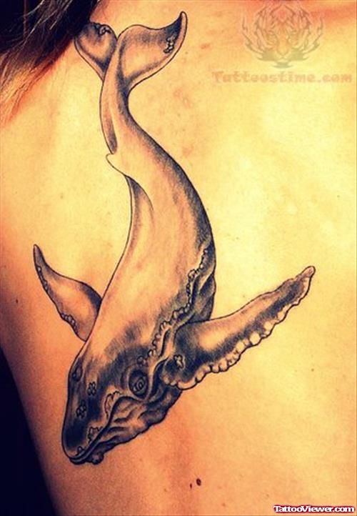 Wildlife Whale Tattoo
