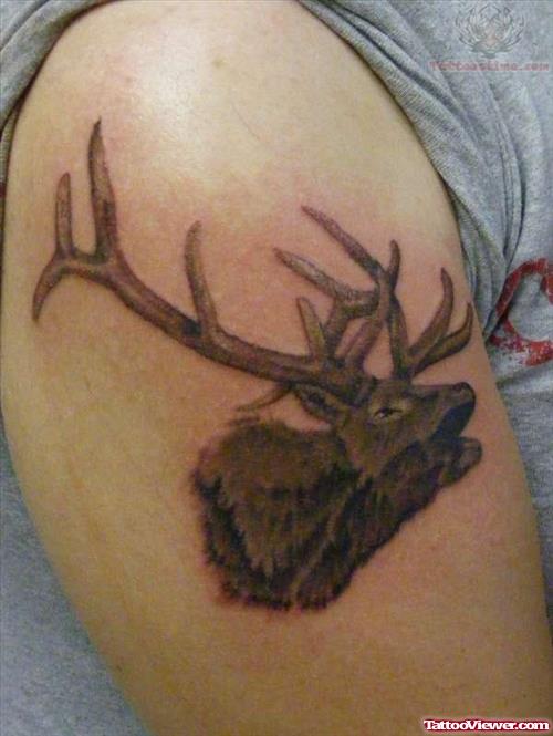 Deer Head Wildlife Tattoo