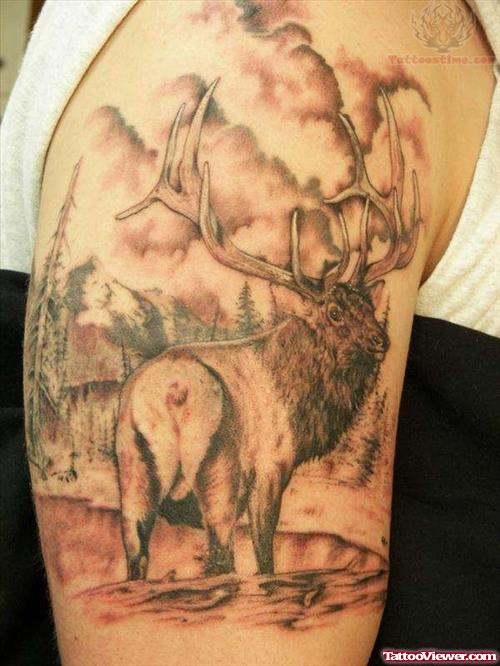 Wildlife Tattoos For Bicep