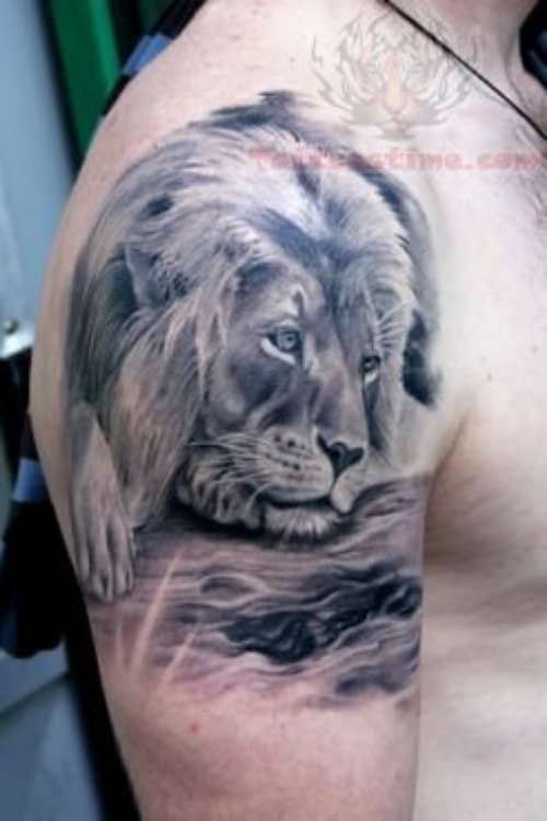 Wildlife Lion Tattoo