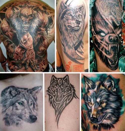 Wildlife Wolf Tattoos Collection