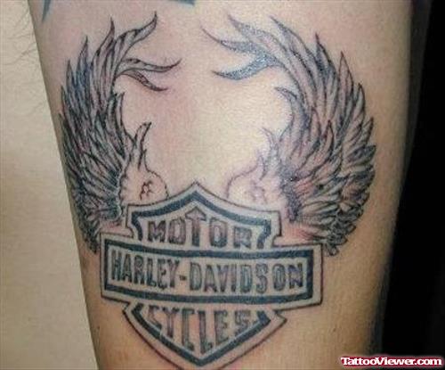 Harley Davidson Wings Tattoo On Biceps