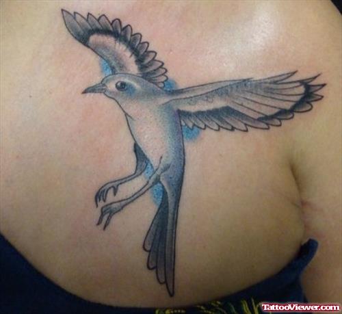 Mocking Bird Spreading Wings Tattoo On Collarbone