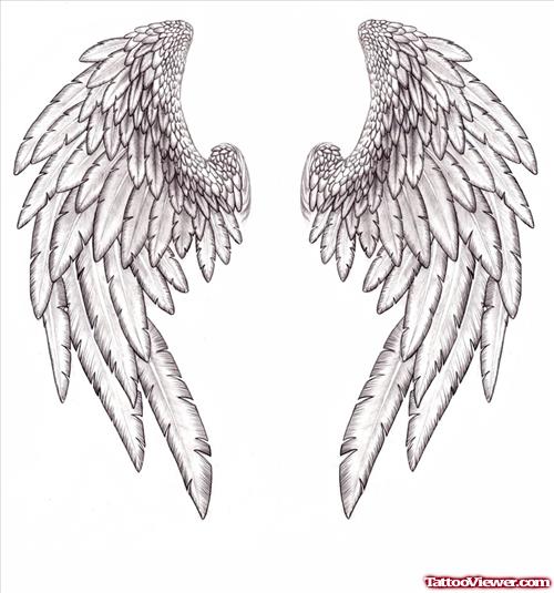Attractive Wings Tattoos Design