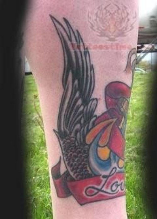 Colorful Wings Tattoo Picture