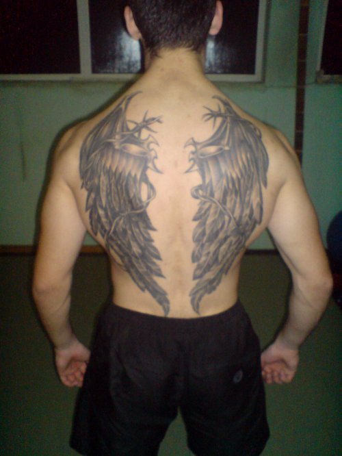 Grey Wings Tattoos On Back
