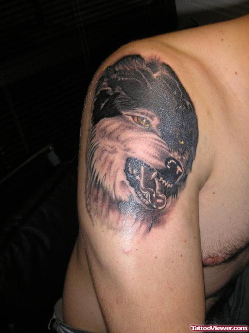 Best Wolf Tattoo On Right Shoulder