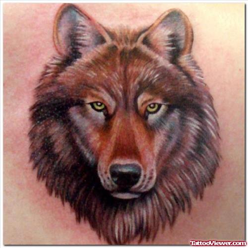 Latest Brown Ink Wolf Head Tattoo