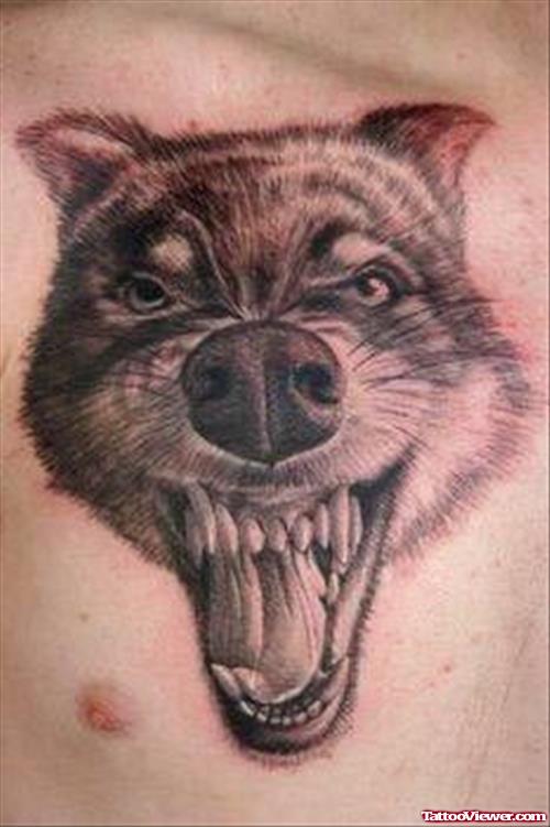 Grey Ink Angry Wolf Head Tattoo On Chest