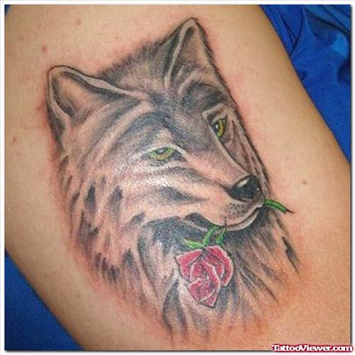 Wolf With Red Rose Tattoo