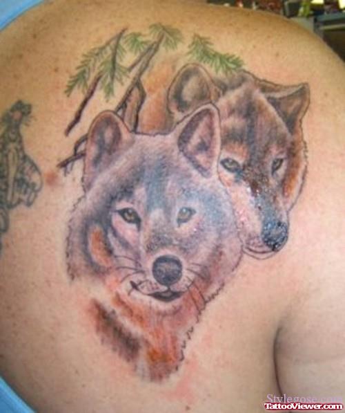 Wolf Tattoos On Right Back Shoulder