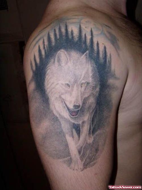 Awesome Grey Ink Wolf Tattoo On Right Half Sleeve