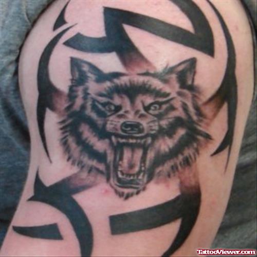 Amazing Tribal And Wolf Head Tattoo On Left Shoulder