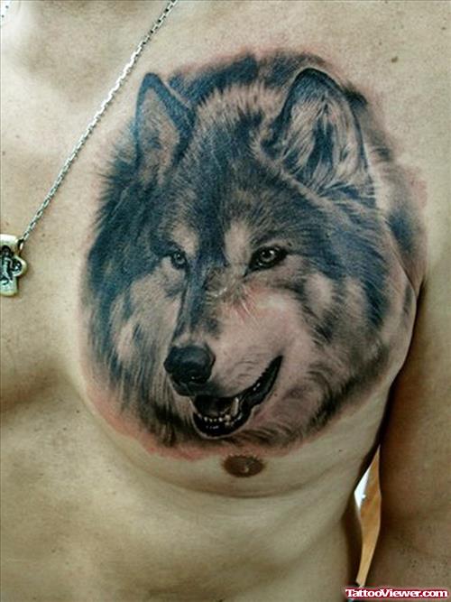 Grey Ink Wolf Head Tattoo On Man Left Chest