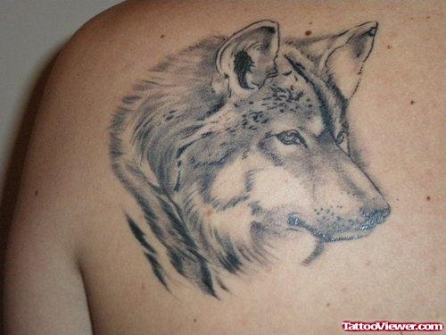 Beautiful Grey Ink Wolf Tattoo On Left Back Shoulder