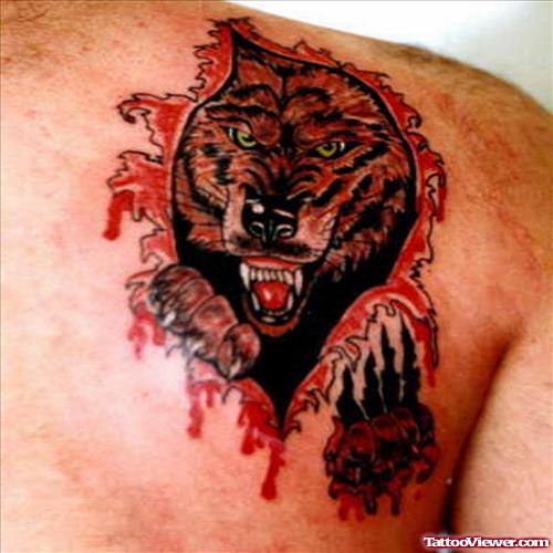 Ripped Skin Wolf Tattoo On Right Back Shoulder