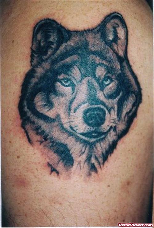 Inspiring Grey Ink Wolf Head Tattoo