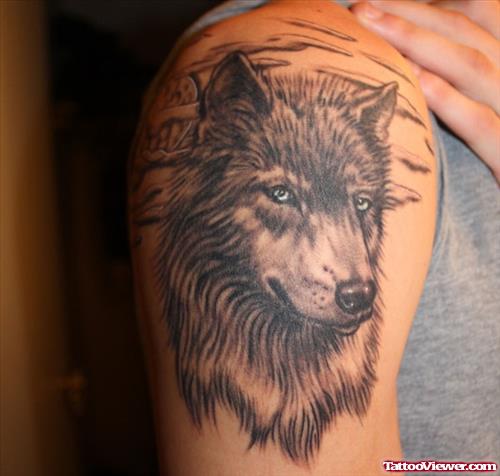 Crazy Grey Ink Wolf Tattoo On Right Half Sleeve