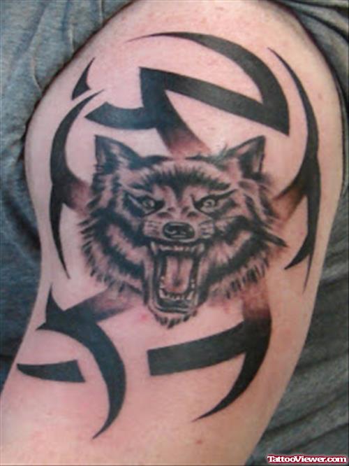 Black Tribal And Wolf Head Tattoo On Left Shoulder