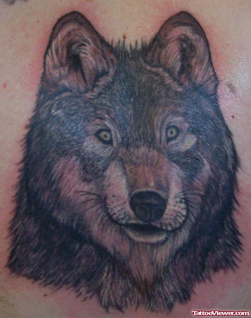 Nice Wolf Head Tattoo
