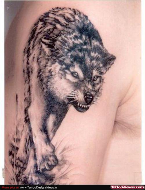 Fine Grey Ink Wolf Tattoo On Right Half Sleeve