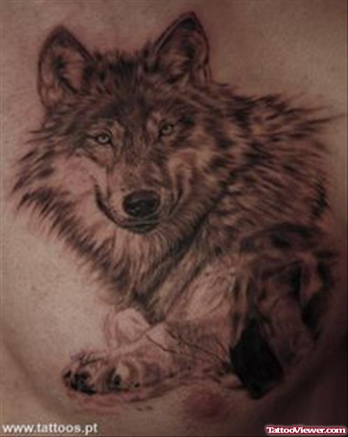 Wolf Tattoo On Man Left Chest