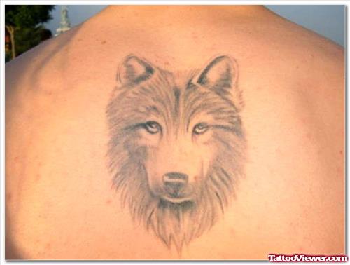 Grey Ink Wolf Head Tattoo On Upperback