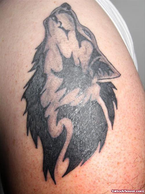 Black Ink Tribal Wolf Tattoo On Left Shoulder