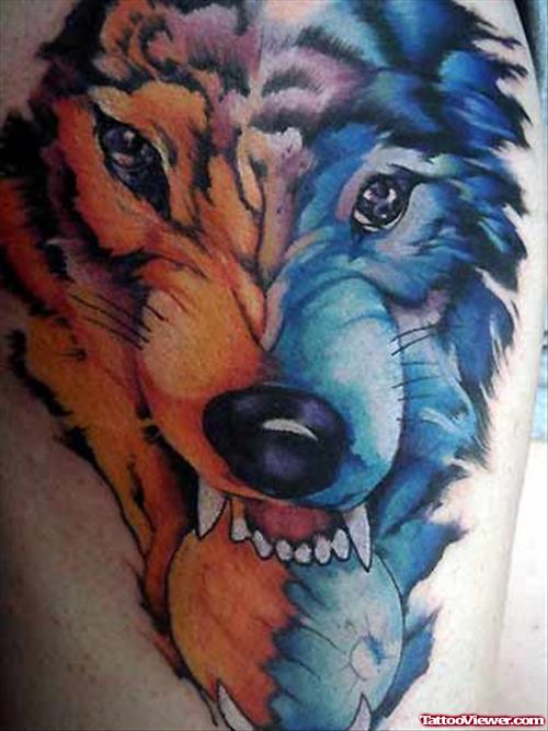Colored Wolf Head Tattoo On Shoulder