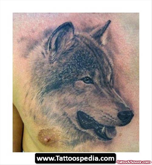 Classic Grey Ink Wolf Tattoo On Man Chest