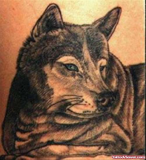 Awesome Grey Ink Wolf Tattoo For Men