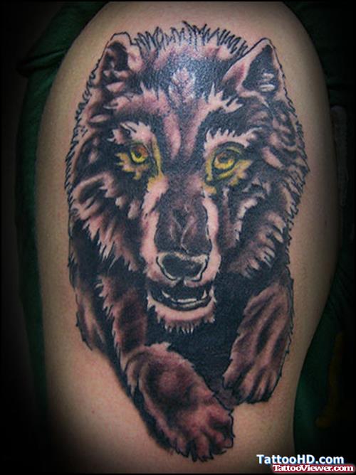 Attractive Grey Ink Wolf Tattoo On Half Sleeve